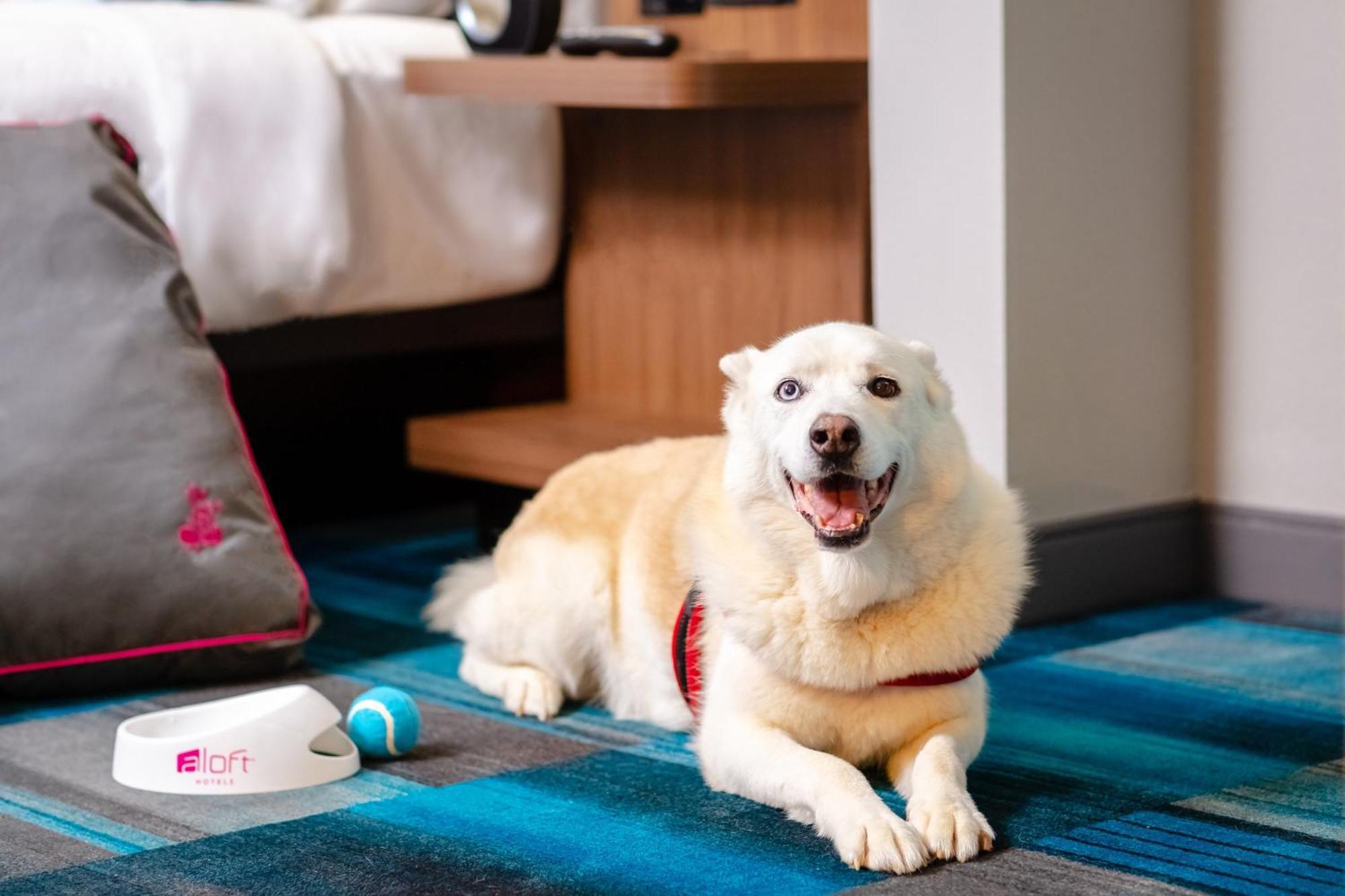 Aloft Columbia Harbison Hotell Eksteriør bilde